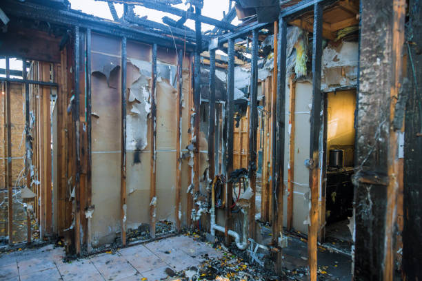 Professional Fire Damage Removal technician working in Lake Shastina, CA